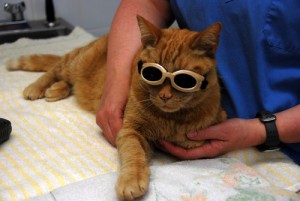 Conditions Treated with Laser Therapy