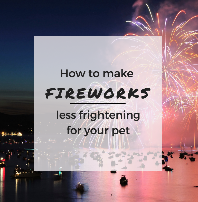 Your Pet and Fireworks
