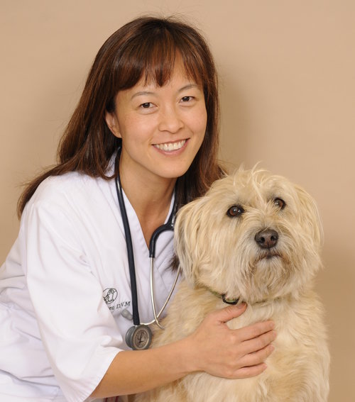 Our Dr. Yuen bids goodbye to Sadie, her dog of 12 years, and speaks candidly about euthanasia.