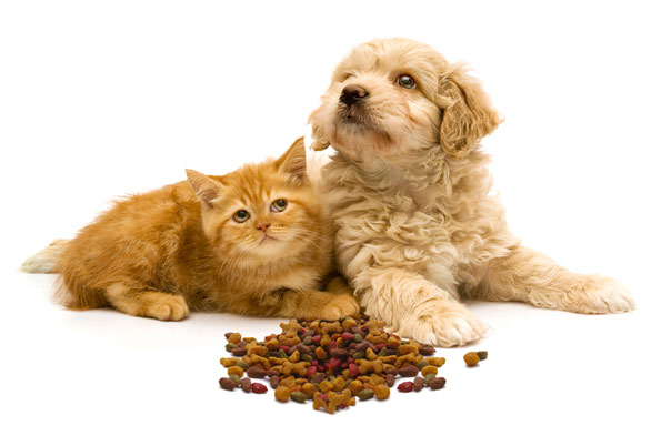 Puppy Kitten Nutrition