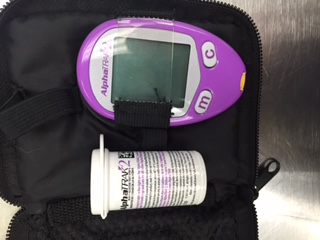 Testing kit used to check Mary’s blood glucose levels.