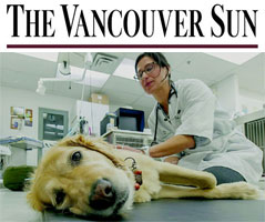 Our Vancouver Animal Hospital makes an Appearance in The Vancouver Sun.