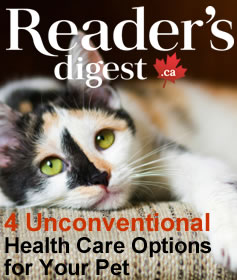Our Vancouver Animal Hospital made it in Reader's Digest Canada.